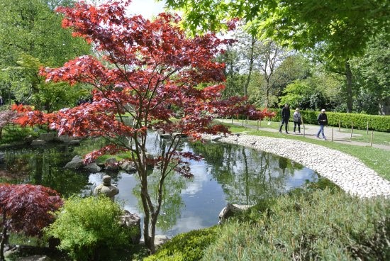 Kyoto Gardens, Londres
