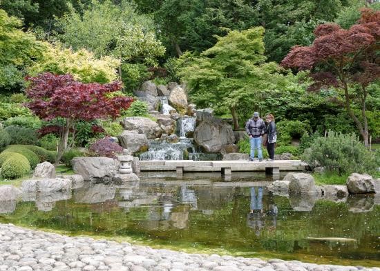 Kyoto Gardens, Londres